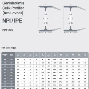 NPI/IPE (Ara Levhalı)